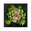 Hanging Succulent Wall Decor - Set of 6 Faux Greenery Box Art, Christmas Decor by Melrose