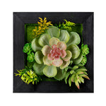 Hanging Succulent Wall Decor - Set of 6 Faux Greenery Box Art, Christmas Decor by Melrose