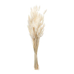 Set of Two Faux Bunny Tail Stems for Everyday Decor by Melrose