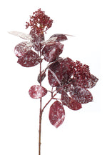 Melrose Frosted Burgandy Sedum Spray (Set of 12)