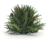 Pinecone Arborvitae Half Orb Tabletop Decor