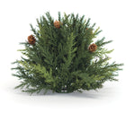 Festive Arborvitae Half Orb Holiday Greenery – 8.5" by Melrose