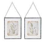 Melrose Metal Framed Grass Print Under Glass (Set of 2)