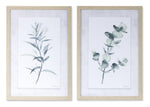 Melrose Framed Watercolor Eucalyptus Foliage Print (Set of 2)