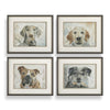 Four framed paintings of dogs on a white background