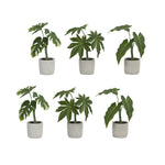 Decorative Faux Plant Collection Assorted Potted Foliage – 6 Piece by Melrose