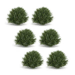 Spring Grass Half Orb Set of 6, Plastic Greenery Decor, 8" Faux Floral Accents by Melrose