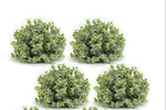 Artificial Green Foliage Half Orb – 6.5"H Boxwood Decor, Set of 6 by Melrose