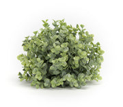 boxwood half orb