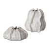 Uttermost 17973 Urchin Textured Ivory Vases, Set of 2