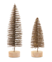 Set of four lighted holiday tabletop trees
