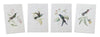 Melrose Tabletop Encyclopedia Hummingbird Print (Set of 4)