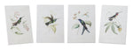 Melrose Tabletop Encyclopedia Hummingbird Print (Set of 4)