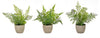 Artificial Fern Plant Set – Plastic Green Foliage – Set of 3