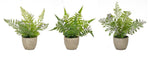 Decorative Faux Fern Plant Set of 3 Grey Pot Greenery – Indoor Decor by Melrose