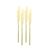 Pampas Grass Faux Stems Set of 4 30 Inch for Natural Inspired Decor By Melrose