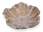 Whitewashed Carved Flower Bowl 3 Inch for Tabletop Display By Melrose