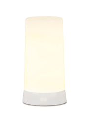 Melrose LED Flickering Light Designer Candle with Remote and Magnet (Set of 2)