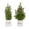 PE Mini Pine Trees with Red Berries – Ceramic Planters – Set of 2