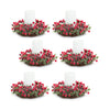 Melrose Frosted Winter Berry Pine Candle Ring with Grapevine Base (Set of 6)