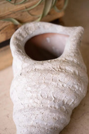 clay shell planter,