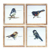 Rustic Wood Framed Bird Prints – Set of 4 Nature Wall Art