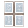Melrose Wood Framed Encyclopedia Floral Outline Under Glass (Set of 4)