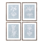 Melrose Wood Framed Encyclopedia Floral Outline Under Glass (Set of 4)