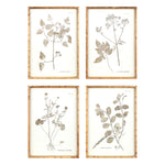 Melrose Bamboo Framed Encyclopedia Floral Print Under Glass (Set of 4)