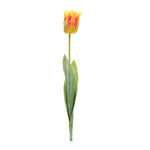 Tulip Stems Set of 6 – Polyester Plastic Yellow Orange – 27" Height Faux Florals By Melrose