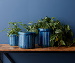 Blue Etched Planter Set – 4.5–7.5