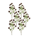 Faux Brown Allium Spray Set of 6 26 inch Height Plastic and Polyester Stems for Displays By Melrose