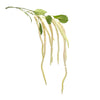 Amaranthus Faux Stems – 53.25"H – Set of 4 for Floral Arrangements – By Melrose
