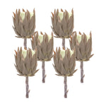 Decorative Faux Protea Stems – Set of 6 – 20"H – Vase & Container Use – By Melrose