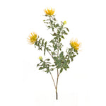 Yellow and Green Protea Stem Pair Set 34.25 Inch Faux Flowers for Home Decor By Melrose