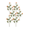 Faux Protea Spray Set Orange and Green 34.25 Inch Stems for Indoor Use By Melrose