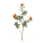 Orange and Green Protea Stem Pair Set 34.25 Inch Faux Flowers for Home Decor By Melrose