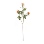 Decorative Faux Protea Stem Set Orange and Green 34.25 Inch for Tabletop Styling By Melrose