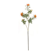 Decorative Faux Protea Stem Set Orange and Green 34.25 Inch for Tabletop Styling By Melrose