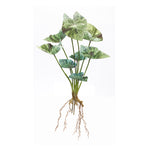 Nature Inspired Caladium Bush Set Of 6 With 18.5 Inch Height For Indoor Settings By Melrose