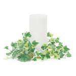 Lifelike Ivy Candle Ring Set of 6 3.5 Inch Height for Mantels and Centerpieces By Melrose