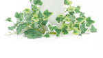 Faux Ivy Candle Ring Set of 6 3.5 Inch Height for Table and Mantel Decor By Melrose