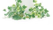 Faux Ivy Candle Ring Set of 6 3.5 Inch Height for Table and Mantel Decor By Melrose