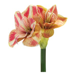 Melrose Amaryllis Flower Stem (Set of 2)