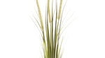 28 Inch Artificial Foxtail Stem for Indoor Décor