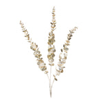 Eucalyptus Spray Glittered Champagne Gold Holiday Stems Set of 6 – 36" High by Melrose