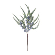 Winter Berry Pod Pick 