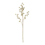 Winter Berry Pod Spray 