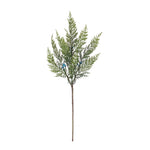 Variegated Juniper Spray 
