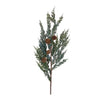 Melrose Pine Spray (Set of 24)